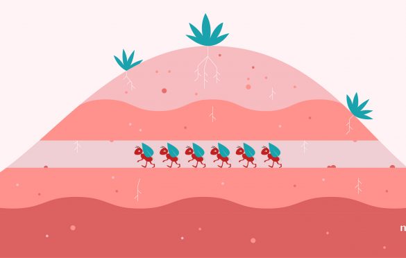 Achieving a More Predictable Workflow: Average Age of Work in Progress