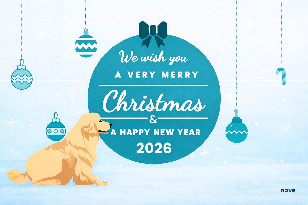 Our Christmas Wish For You!