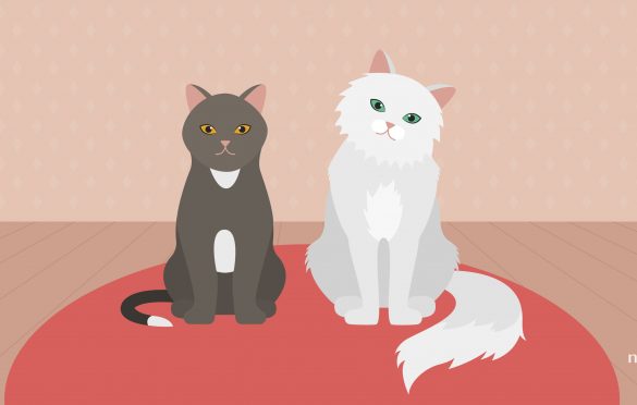 Does Your Kanban System Produce Reliable Probabilistic Forecasts? Thin-Tailed vs Fat-Tailed Cycle Time Distributions