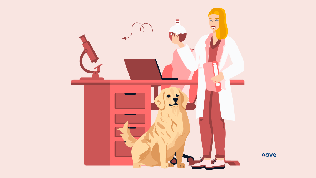 How to Treat Signals in Your Cycle Time Using the Process Improvement Dashboard